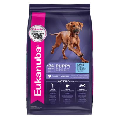 What To Feed a Labrador Puppy (Best Options) - Telangiectasia Puppy Food For Large Breed Puppies With Inflammation